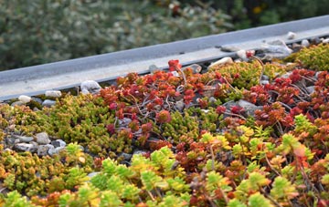 the cost of Hyndburn Bridge green roof installation