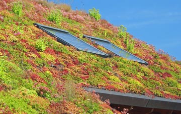 Hyndburn Bridge living roof systems
